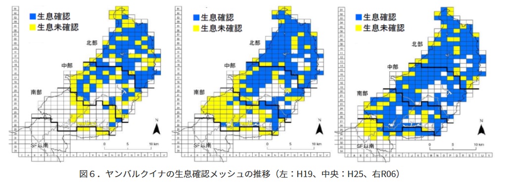 Small Indian mongoose (Herpestes auropunctatus) Expansion of Okinawa rail distribution range, From left to right: H19 (2007), H25 (2013), R06 (2024)