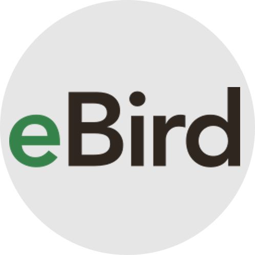 eBird
